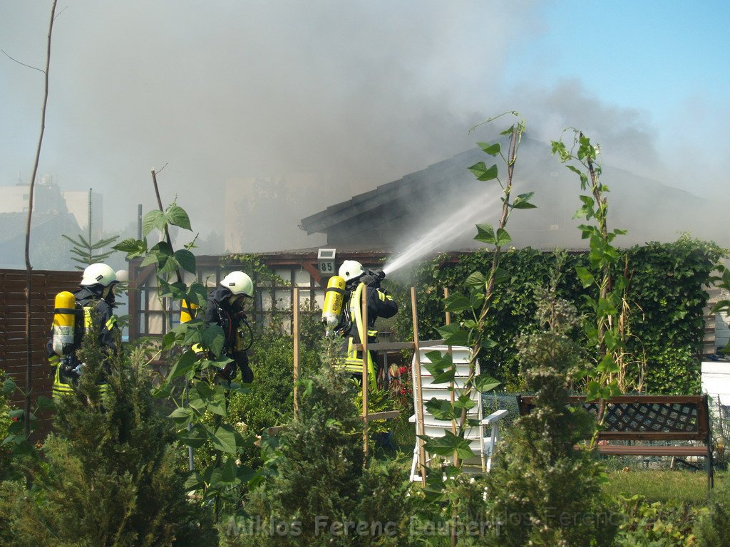 Gartenlaube in Vollbrand Koeln Poll Im Gremberger Waeldchen P084.JPG